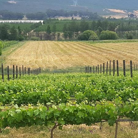 タルバ Lemberg Wine Estateヴィラ エクステリア 写真